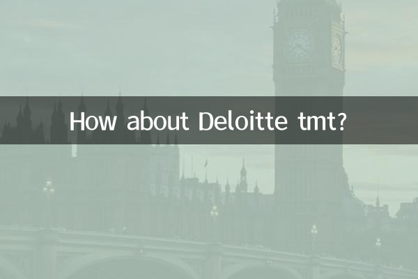 ¿Qué tal Deloitte tmt?