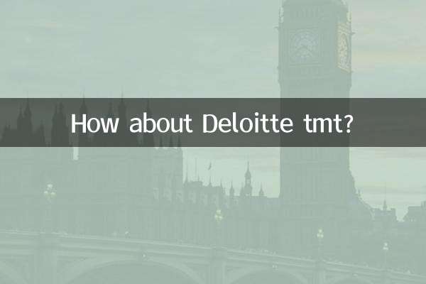 Que tal Deloitte tmt?