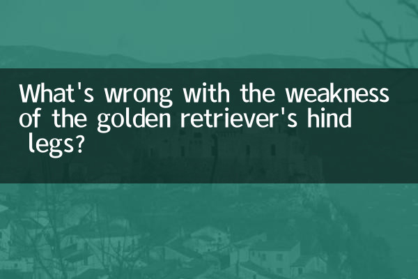 金毛后腿无力怎么回事