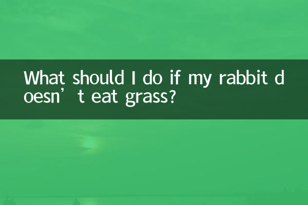 Was soll ich tun, wenn mein Kaninchen kein Gras frisst?