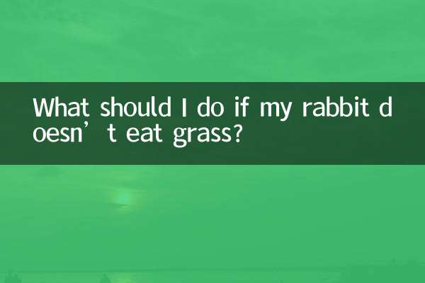 What should I do if my rabbit doesn’t eat grass?