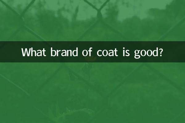 코트는 어떤 브랜드가 좋은가요?