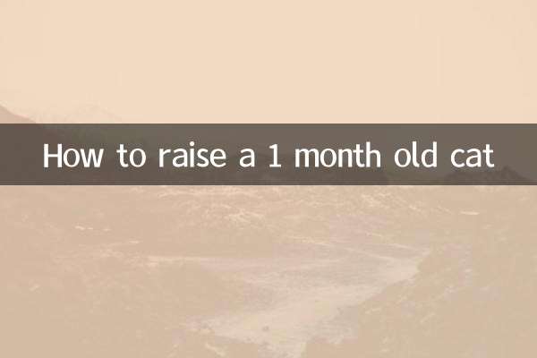 Как воспитать месячного кота