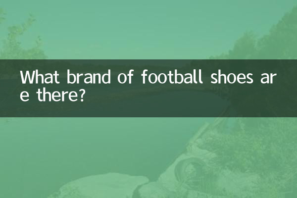 Welche Fußballschuhmarken gibt es?