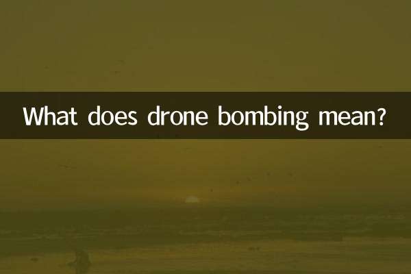드론폭격은 무슨 뜻인가요?