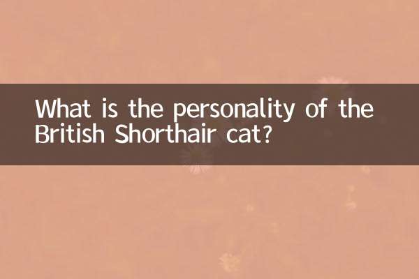 What is the personality of the British Shorthair cat?