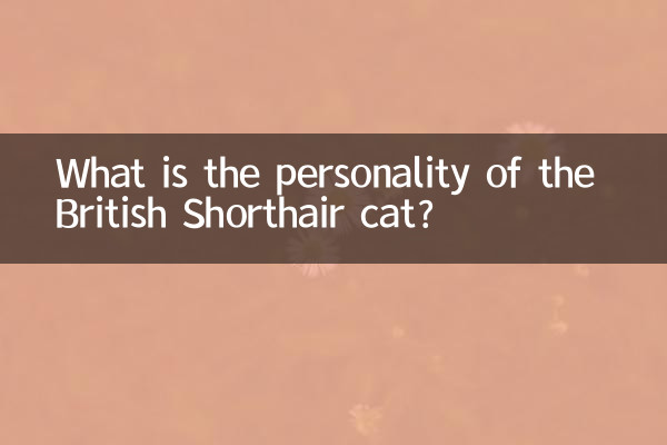 What is the personality of the British Shorthair cat?