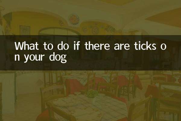 What to do if there are ticks on your dog