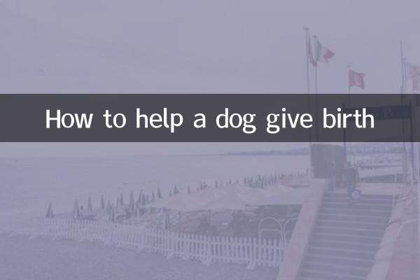 Wie man einem Hund bei der Geburt hilft