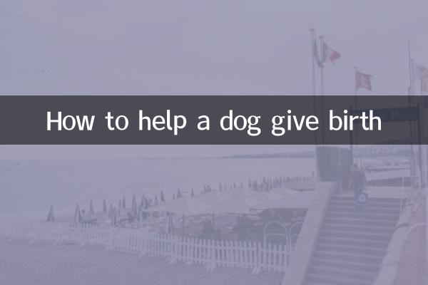 Come aiutare un cane a partorire