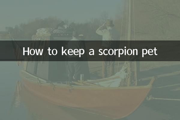 전갈 애완동물을 키우는 방법