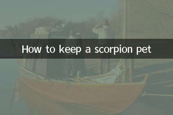 전갈 애완동물을 키우는 방법