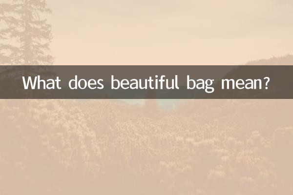 सुंदर बैग का क्या मतलब है?