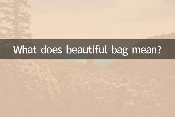 सुंदर बैग का क्या मतलब है?