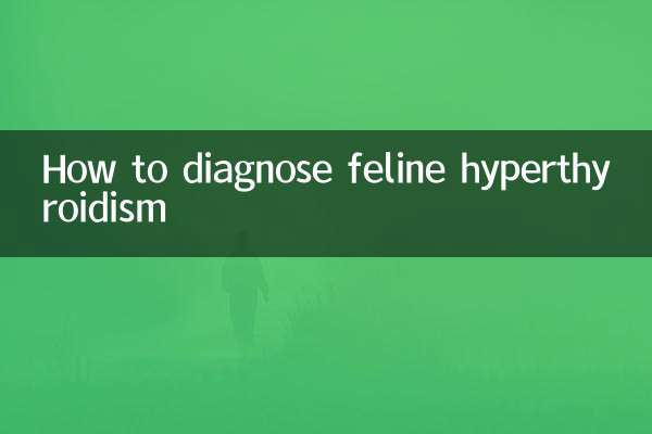 So diagnostizieren Sie eine Hyperthyreose bei Katzen