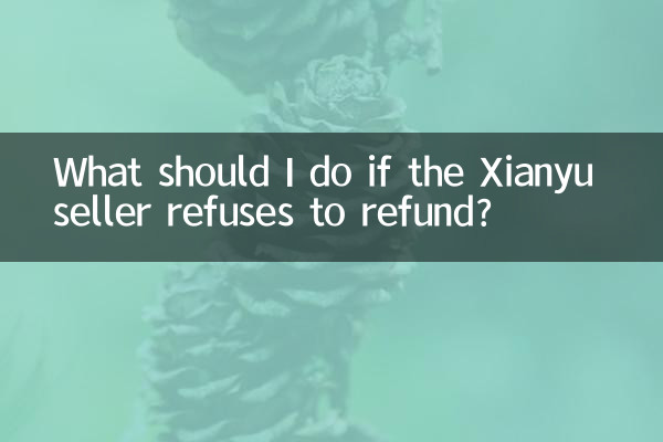 اگر فروشنده Xianyu از بازپرداخت وجه امتناع کرد، چه کاری باید انجام دهم؟