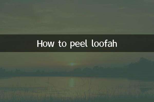 Como descascar bucha