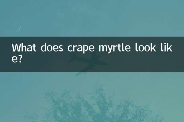 کریپ مرٹل کیسی نظر آتی ہے؟