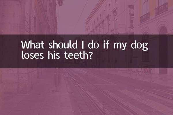 اگر میرا کتا دانت کھو دیتا ہے تو مجھے کیا کرنا چاہئے؟