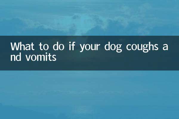 What to do if your dog coughs and vomits