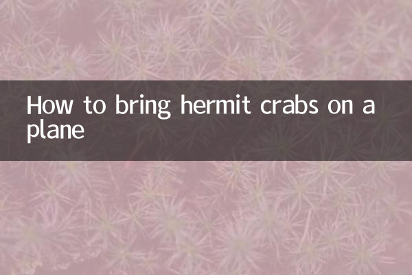 Cómo llevar cangrejos ermitaños en un avión