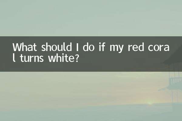 यदि मेरा लाल मूंगा सफेद हो जाए तो मुझे क्या करना चाहिए?