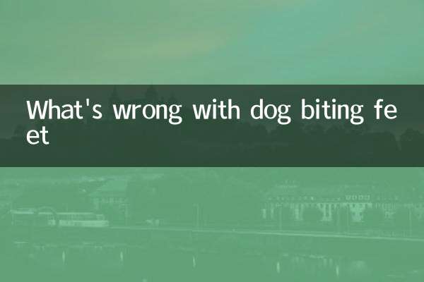 What's wrong with dog biting feet