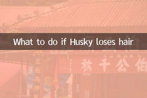 What to do if Husky loses hair