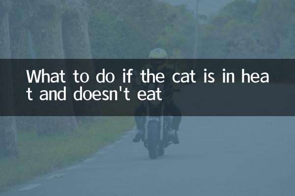 What to do if the cat is in heat and doesn't eat