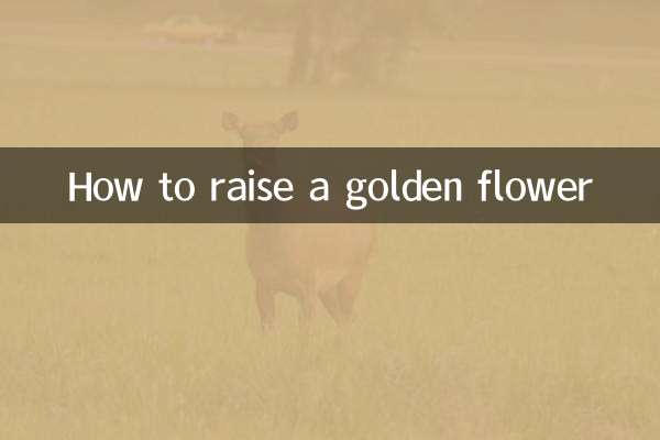 Come allevare un fiore d'oro