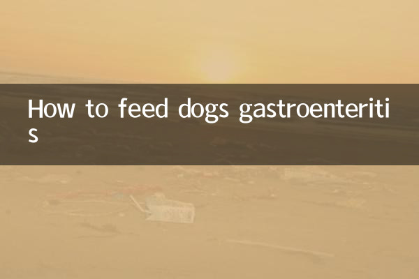 Come nutrire i cani con la gastroenterite