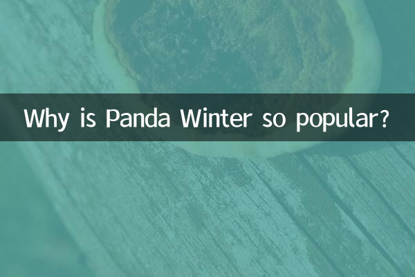 Почему Panda Winter так популярна?