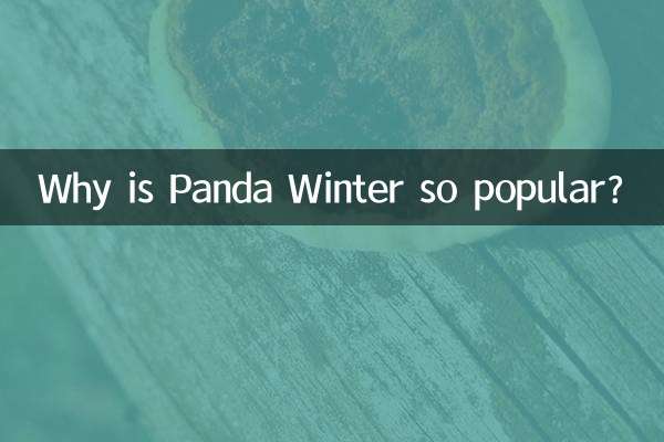 Почему Panda Winter так популярна?