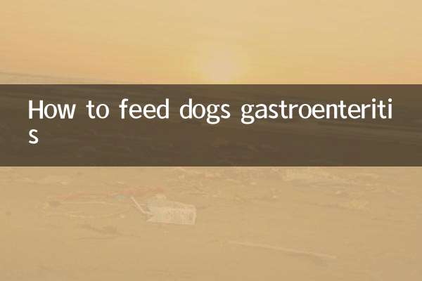 Come nutrire i cani con la gastroenterite