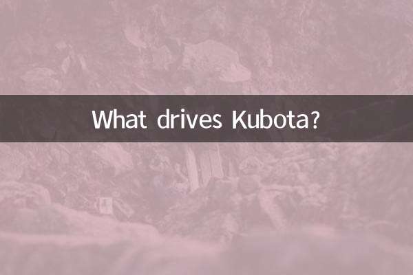 ¿Qué impulsa a Kubota?