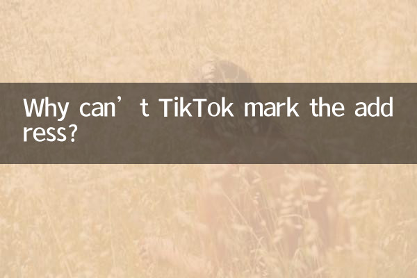 چرا TikTok نمی تواند آدرس را علامت گذاری کند؟