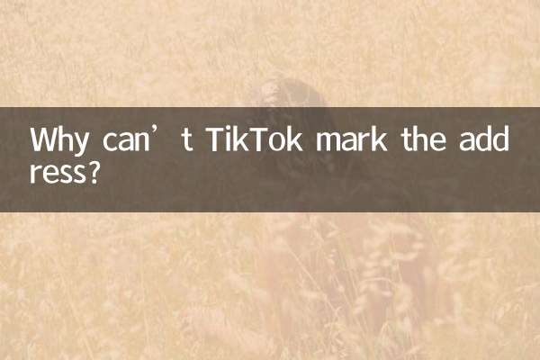 چرا TikTok نمی تواند آدرس را علامت گذاری کند؟