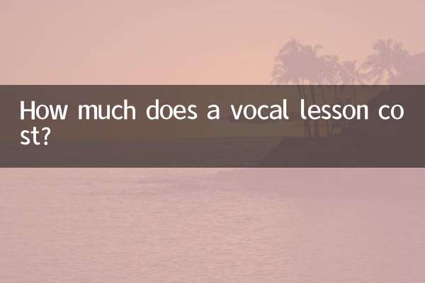 How much does a vocal lesson cost?