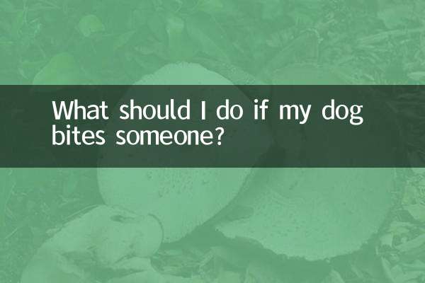 犬が人を噛んだ場合はどうすればよいですか?