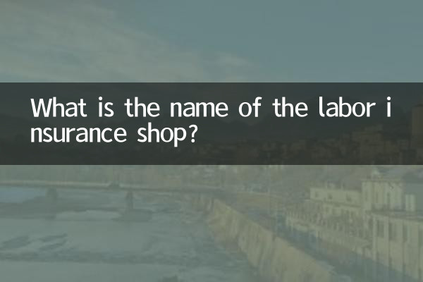 Qual é o nome da loja de seguros trabalhistas?