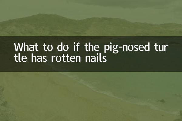 Cosa fare se la tartaruga dal naso di maiale ha le unghie marce