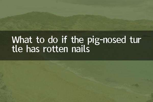 Cosa fare se la tartaruga dal naso di maiale ha le unghie marce