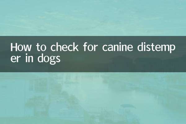 Come verificare la presenza di cimurro nei cani