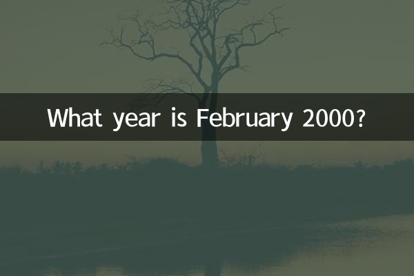 Какой год февраль 2000?