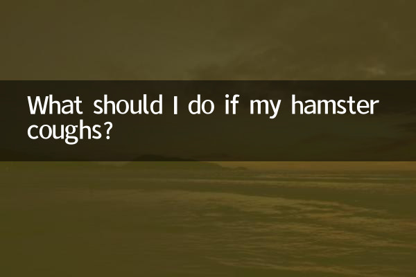 仓鼠咳嗽了怎么办