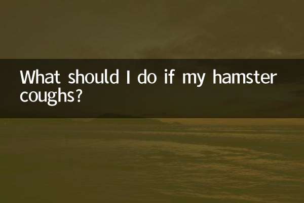 O que devo fazer se meu hamster tossir?