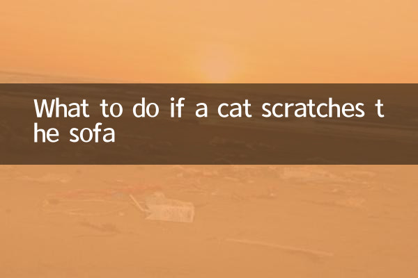 Was tun, wenn eine Katze das Sofa kratzt?