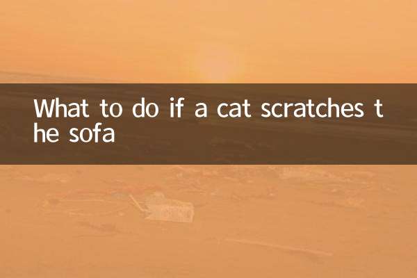 Que faire si un chat gratte le canapé