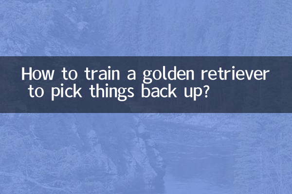 金毛怎么训练把东西叼回来
