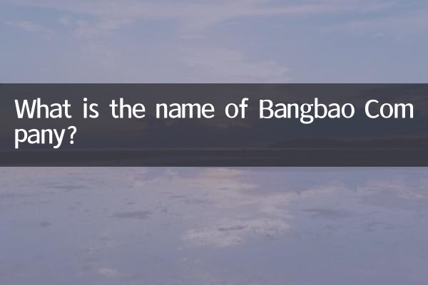 邦寶公司叫什麼